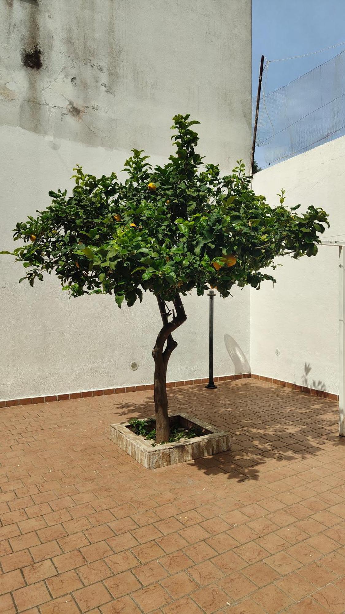 Willa Casa Rinuccia Casamicciola Terme Zewnętrze zdjęcie